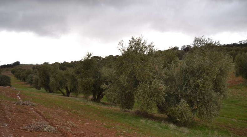 Burgos - Entrambasaguas - 500000m2