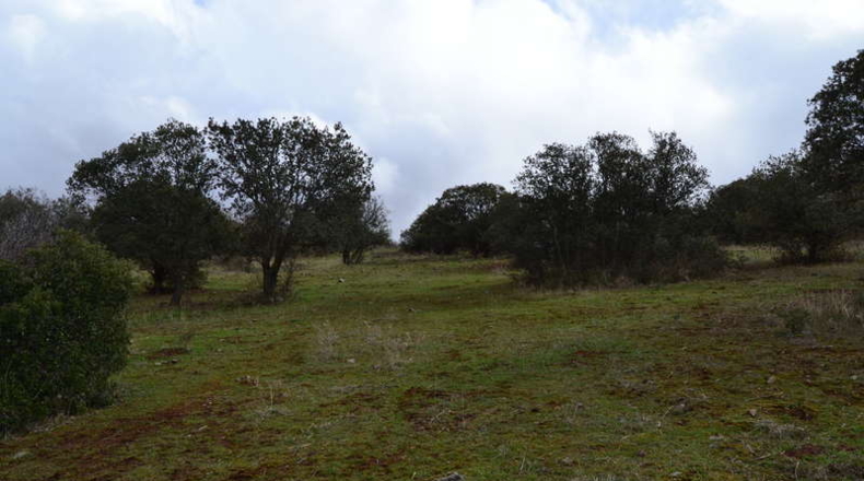 Burgos - Entrambasaguas - 500000m2