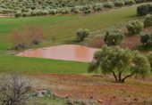 Xalet independent amb terreny en venda a la España, Valdepeñas, ref.: TR397878 foto