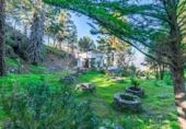 Rural estate for sale on España, Balcón de Telde, ref: TR383261 photo