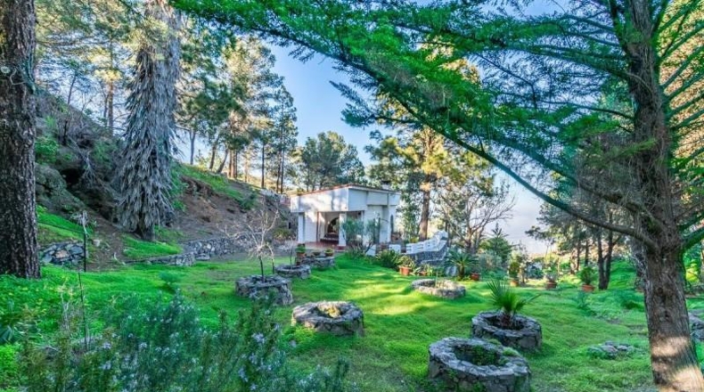 Las Palmas - Telde - 11600m2