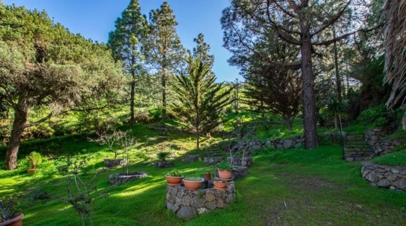 Las Palmas - Telde - 11600m2