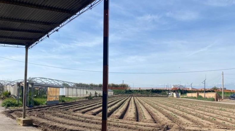 Valencia - Meliana - 424m2