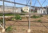 Дом с участком на продажу в городе Meliana Фото