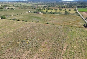 Felanitx 21710&nbsp;m²