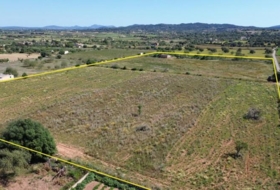 Felanitx 21710&nbsp;m²