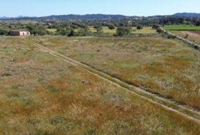 Felanitx 21710&nbsp;m²
