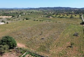 Felanitx 21710&nbsp;m²