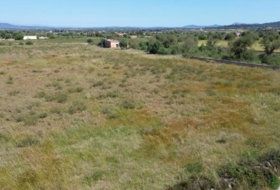 Felanitx 21710&nbsp;m²