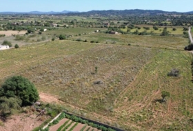 Felanitx 21710&nbsp;m²