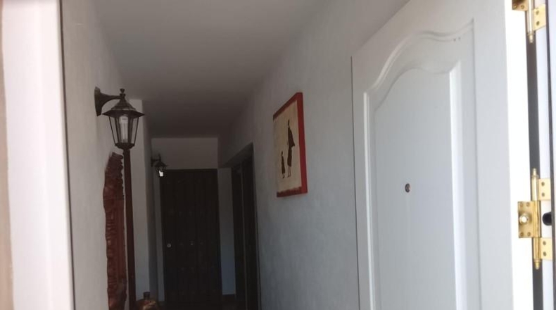 Granada - Мольвисар - 479m2