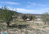 Xalet independent amb terreny en venda a la España, Favanella, ref.: TR390684 foto