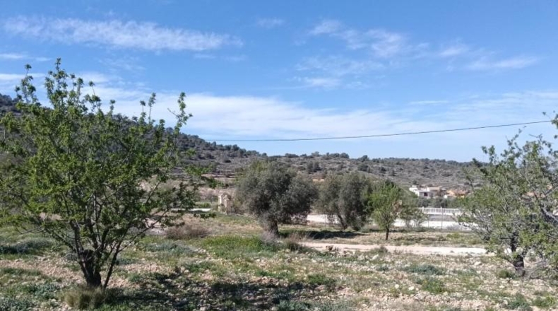 Múrcia - Favanella - 8521m2