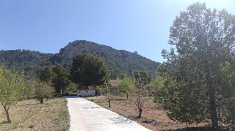 Múrcia - Favanella - 8521m2