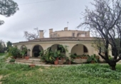 Xalet independent amb terreny en venda a la España, Sant Vicent del Raspeig, ref.: TR384299 foto