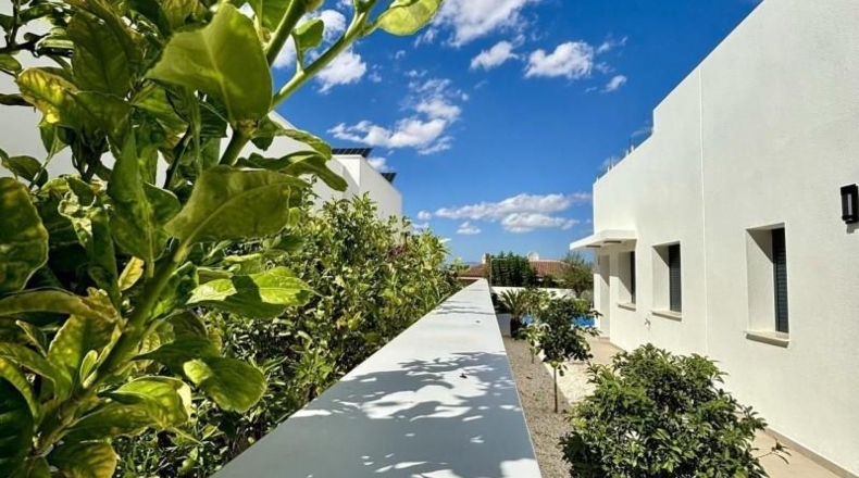 Alicante - Benijófar - 414m2