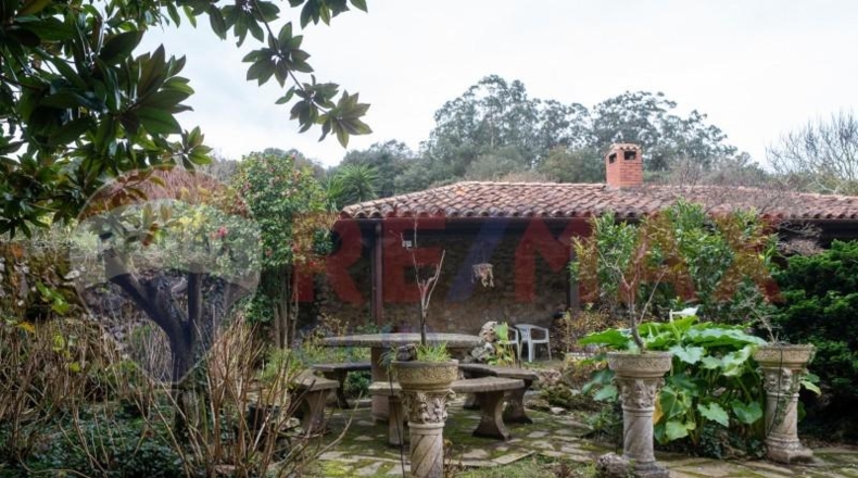 Cantàbria - Torriente - 1249m2