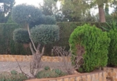 Detached villa with land for sale on España, Chiva, ref: TR373121 photo