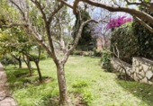 Detached villa with land for sale on España, Málaga, ref: TR282381 photo