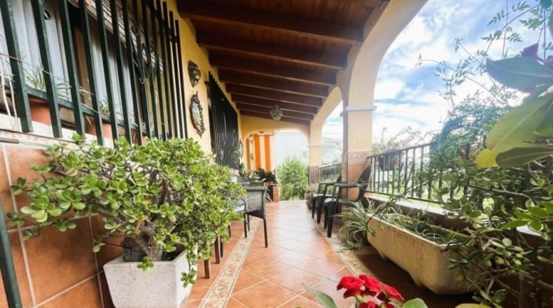Málaga - Málaga - 700m2