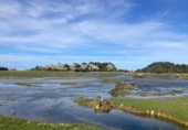 Finca rústica en venda a la España, Isla, ref.: TR310962 foto