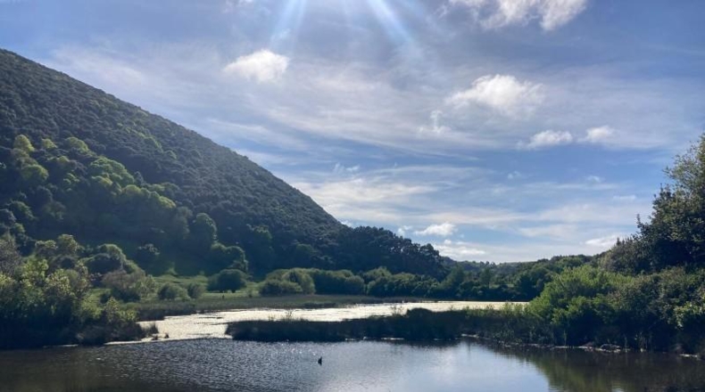 Asturias - Colunga - 4950m2