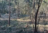 Parcel·la urbanitzable en venda a Lloret de Mar ref.: TR408888 foto