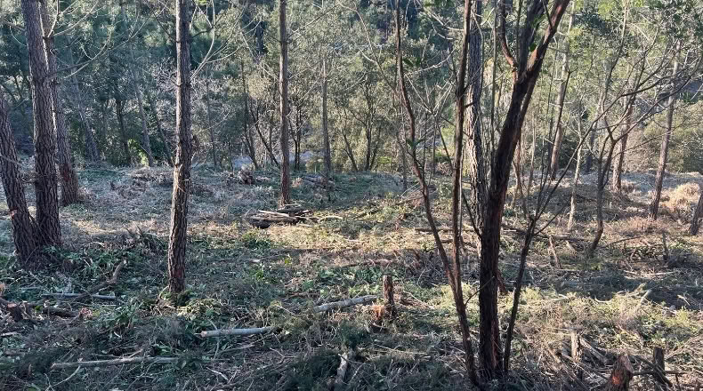 Tarragona - Lloret - 1035m2