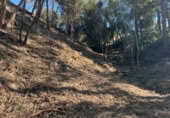 Parcel·la urbanitzable en venda a Lloret de Mar ref.: TR408888 foto