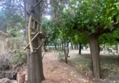 Finca rústica en venda a la Carrer Santa Joaquima Vedruna, Valls, ref.: TR408896 foto