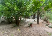 Finca rústica en venda a la Carrer Santa Joaquima Vedruna, Valls, ref.: TR408896 foto