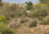 Parcel·la urbanitzable en venda a la Urbanización La Foya, Vilafamés, ref.: TR5712 foto