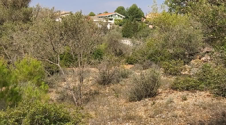 Castellón - Vilafamés - 1366m2