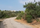 Parcel·la urbanitzable en venda a la Urbanización La Foya, Vilafamés, ref.: TR5712 foto
