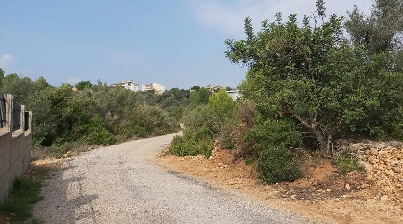 Castellón - Vilafamés - 1366m2