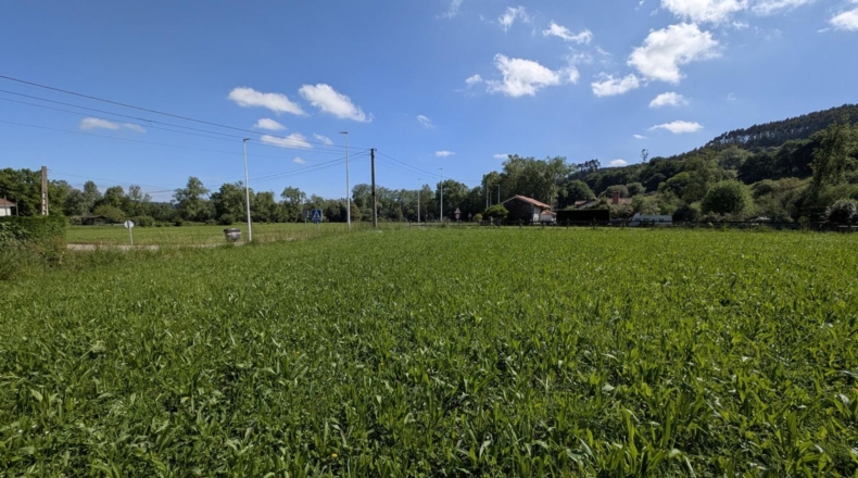 Cantabria - Barcenilla - 1600m2