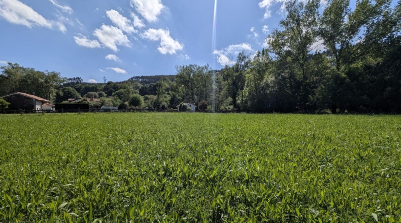 Cantabria - Barcenilla - 1600m2