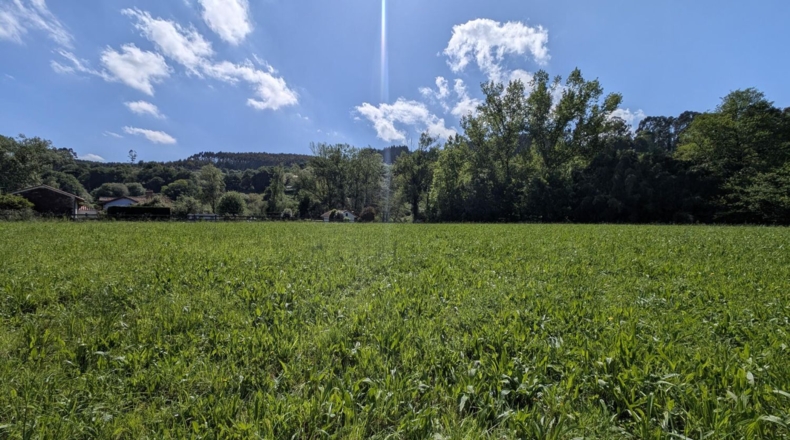 Cantabria - Barcenilla - 1600m2