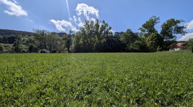 Cantabria - Barcenilla - 1600m2