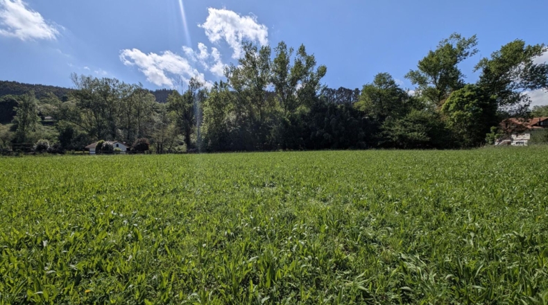 Cantabria - Barcenilla - 1600m2