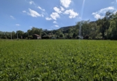 Sòl urbà en venda a la España, Barcenilla, ref.: TR408898 foto