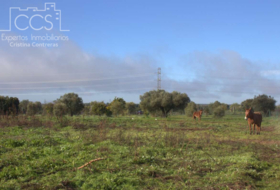 Almonte 17000&nbsp;m² 
