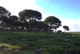 Almonte 17000&nbsp;m² 