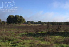 Almonte 17000&nbsp;m² 