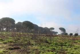 Almonte 17000&nbsp;m² 