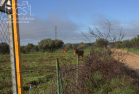 Almonte 17000&nbsp;m² 