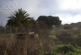 Almonte 17000&nbsp;m² 