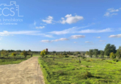 Non-developable land for sale on España, Almonte, ref: TR343279 photo