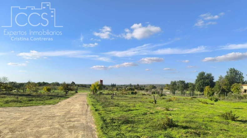 Хуэльва - Almonte - 15900m2