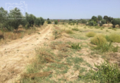 Non-developable land for sale on España, Almonte, ref: TR343279 photo